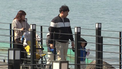 벌써 봄인가？나들이객 북적 / YTN