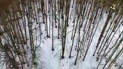 L'incroyable bug de France 2 hier soir en prime pendant la diffusion du documentaire "Le plus beau pays du monde"