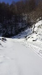 kartalkaya değil sarıyayla köyü