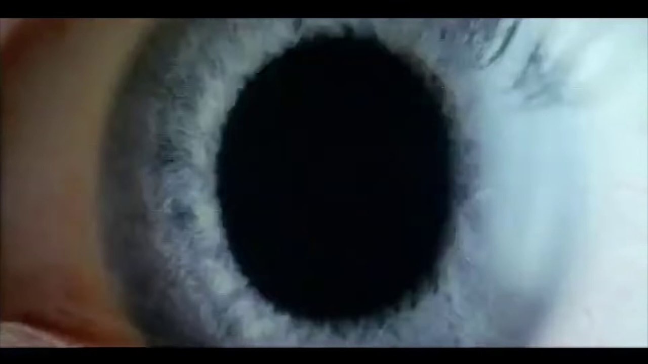 Donnie Darko Movie (2001) Jake Gyllenhaal, Jena Malone, Mary McDonnell