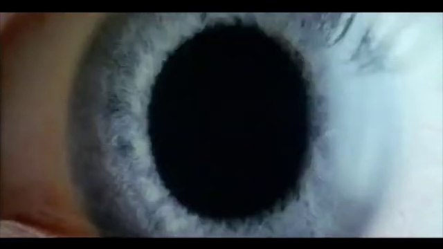 Donnie Darko Movie (2001) Jake Gyllenhaal, Jena Malone, Mary McDonnell