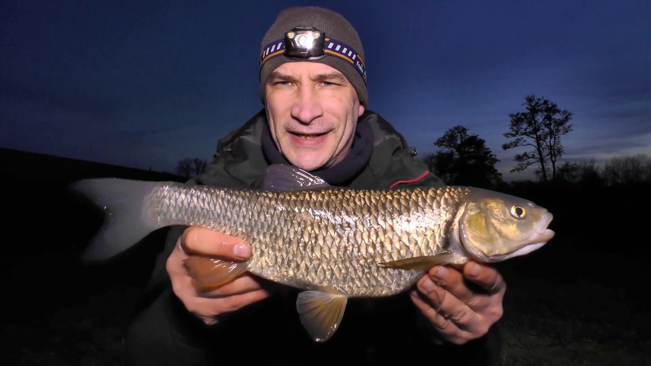Small River Chub & Roach - A Very Enjoyable Session - 22/2/19 (Video 107)