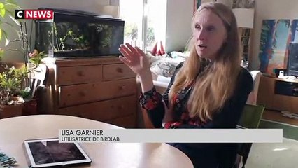 Un  jeu pour préserver les oiseaux