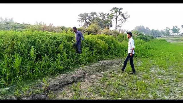 new funny video Must Watch New Funny Comedy Videos 2019 best funny video 2019