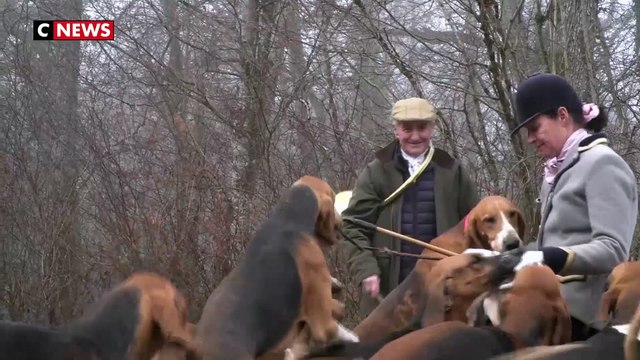 Des passionnés font découvrir la chasse à courre