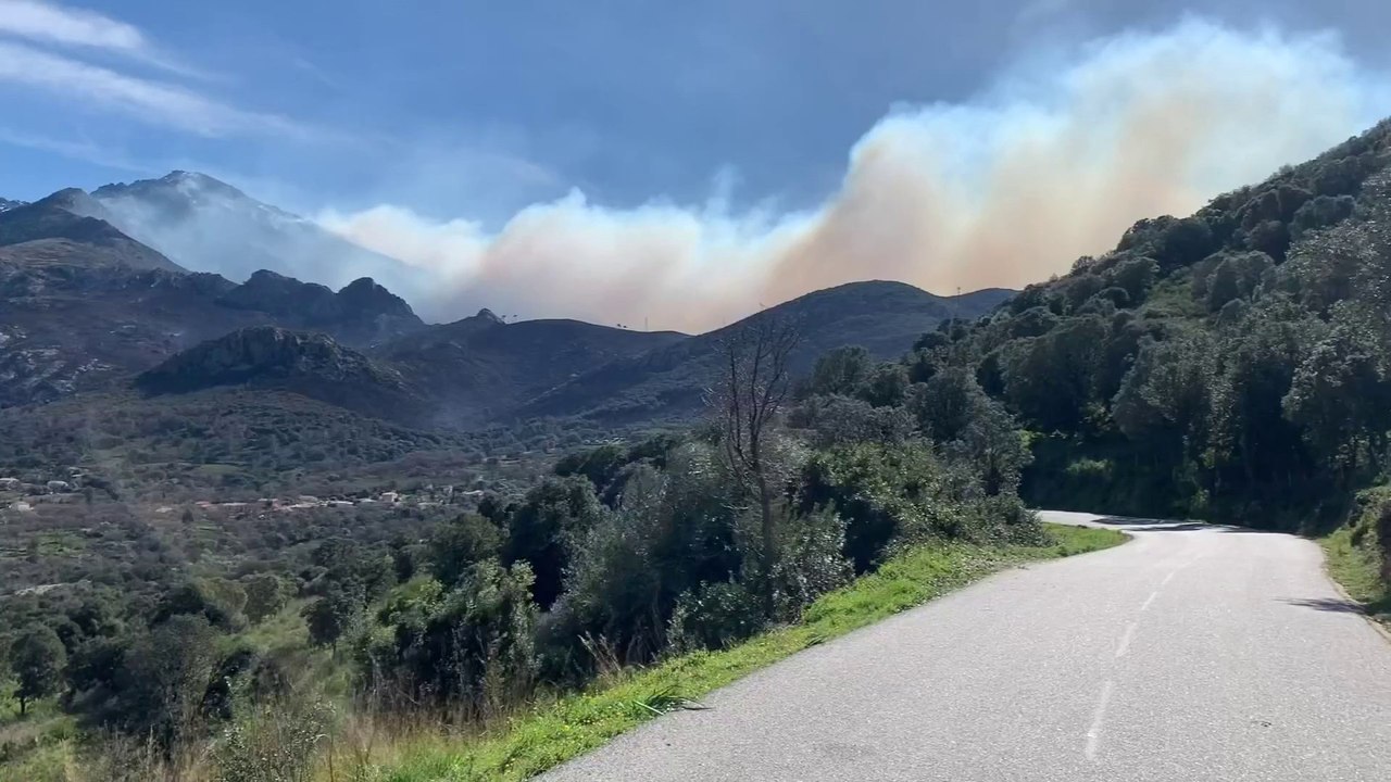 Les incendies en Corse, qui ont ravagé plus d'un millier d'hectares, ne sont pas encore maîtrisés
