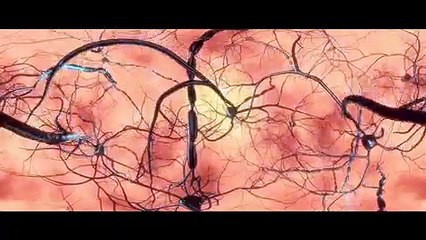 ЭПИДЕМИЯ 21 ВЕКА (это ждет каждого второго землянина) /  EPIDEMIC OF 21 CENTURIES (this is waiting for every second earthling)