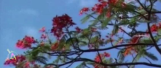 Thendral Kaathoram Veesum