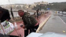 It's raining fish! Men brave raging storm on Malta to pick up fish blown ashore
