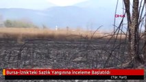 Bursa-İznik'teki Sazlık Yangınına İnceleme Başlatıldı