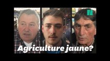 Au Salon de l'agriculture 2019, les éleveurs sont-ils gilets jaunes?