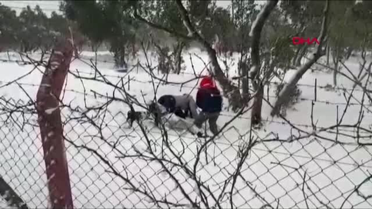 Balıkesir Marmara Adası'nda Kar Yağışı Etkili Oldu