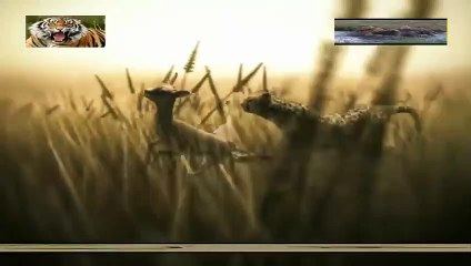 고성출장안마 -안전100%ョØ1Øs9528g0391≪카톡GH600≫고성전지역출장마사지고성출장ko안마sj고성출장마사지'오피걸ろゎ출장안마후기코스프레가능