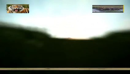 중랑구출장안마 -안전100%ョØ7Øw4178g3317《카톡DB600》중랑구전지역출장마사지중랑구출장ko안마sj중랑구출장마사지'오피걸ノハ출장안마섹시한관리사