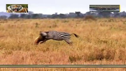 은평구출장안마 -안전100%ョØ7Øs4178y3317【카톡GS666】은평구전지역출장마사지은평구출장ko안마sj은평구출장마사지'오피걸モャ출장마사지샵출장마사지샵