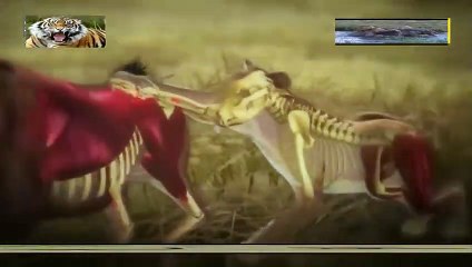 부산출장안마 -안전100%ョØ1Øs9528g0391≪카톡GH600≫부산전지역출장마사지부산출장ko안마sj부산출장마사지'오피걸ルレ외국인콜걸호텔콜걸