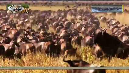 부천출장안마 -안전100%ョØ1Øa9528g0391｛카톡KM800｝부천전지역출장마사지부천출장ko안마sj부천출장마사지'오피걸ЧШ출장가격출장샵