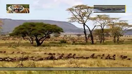 양구출장안마 -안전100%ョØ7Øg4178g3317[카톡KB600]양구전지역출장마사지양구출장ko안마sj양구출장마사지'오피걸♣⊙출장전문출장가격