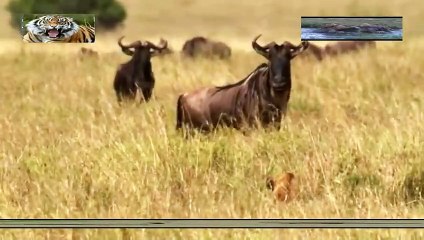 보은출장안마 -안전100%ョØ1Øs9528g0391≪카톡GH600≫보은전지역출장마사지보은출장ko안마sj보은출장마사지'오피걸‡↙20대매니저일본인출장