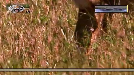 은평구출장안마 -안전100%ョØ1Øa9528h0391『카톡WW900』은평구전지역출장마사지은평구출장ko안마sj은평구출장마사지'오피걸στ아가씨강추출장마사지샵