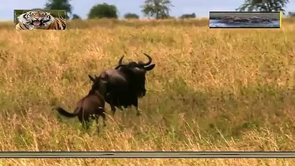 도봉구출장안마 -안전100%ョØ1Øa9528g0391｛카톡KM800｝도봉구전지역출장마사지도봉구출장ko안마sj도봉구출장마사지'오피걸≪√24시모텔콜걸모텔출장