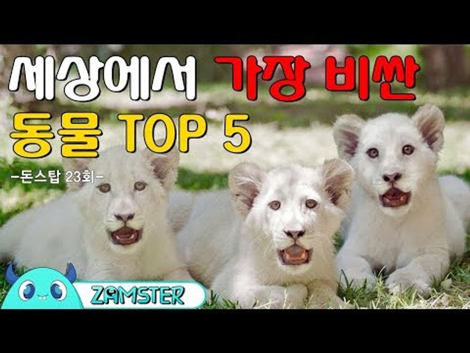 세상에서 가장 비싼 동물 TOP5 [돈스탑 23회] #잼스터