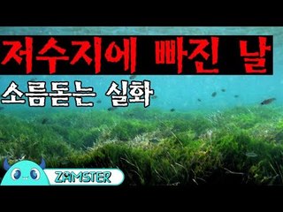 [공포] 저수지에 빠진 날 [식은땀극장 13회] #잼스터