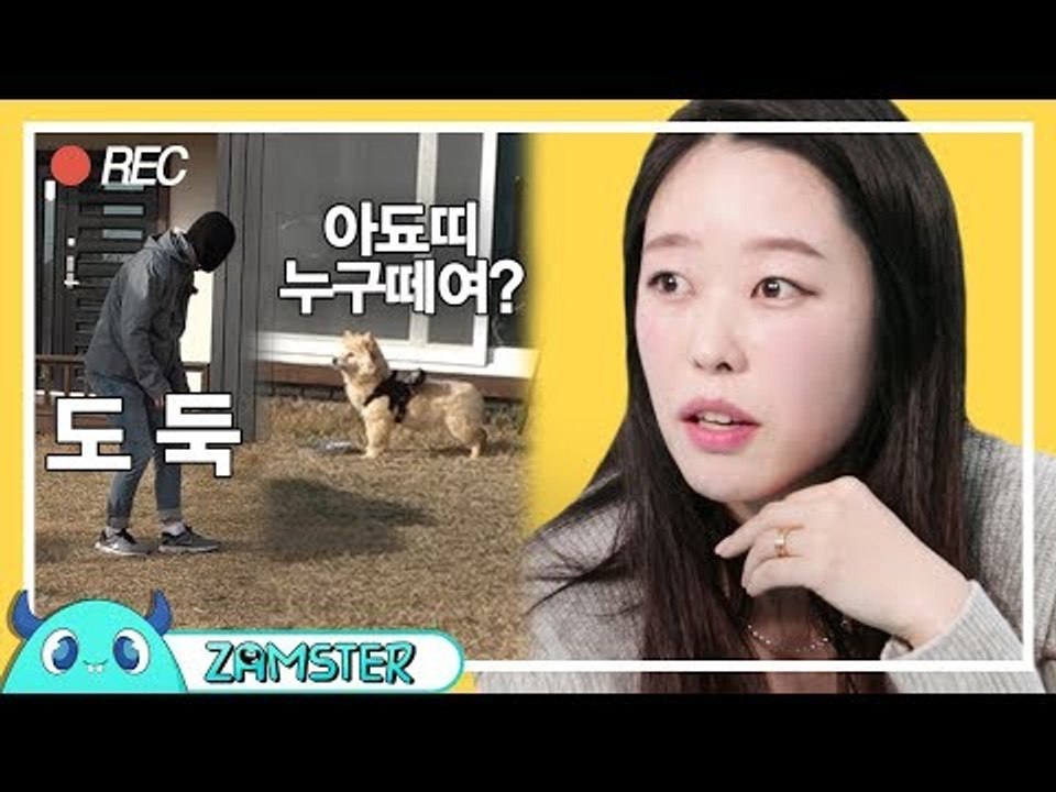 수의사도 놀랐다! 도둑이 들자 시골 강아지가 보인 놀라운 행동! [마이펫의 은밀한 사...