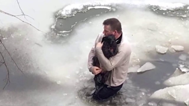 Un homme saute dans l'eau glacée pour sauver un chien coincé dans un ruisseau