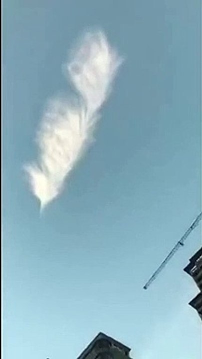 Un magnifique nuage en forme de feuille aperçu dans le ciel en Chine !