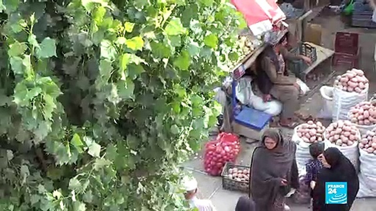 En Afghanistan, la minorité hazara se protège face au groupe État islamique