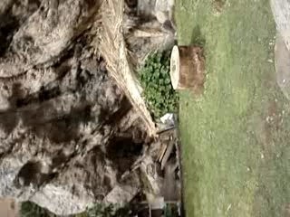 colca canyon vs salar