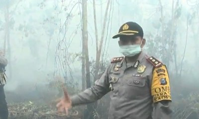 Download Video: Polisi Tetapkan Satu Tersangka Pembakaran Lahan di Kabupaten Bengkalis, Riau