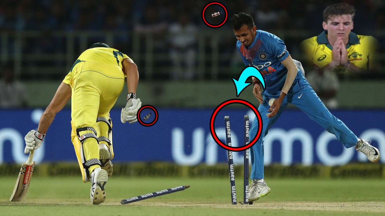 India VS Australia T20 2019 : Australia Pull Off Sensational Last Ball Victory Against India