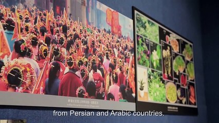 Exploring the ancient Maritime Silk Road in Quanzhou