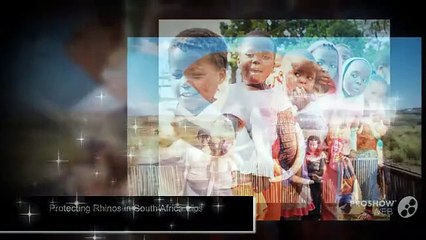 Elephant Conservation in Cambodia - rovolunteers