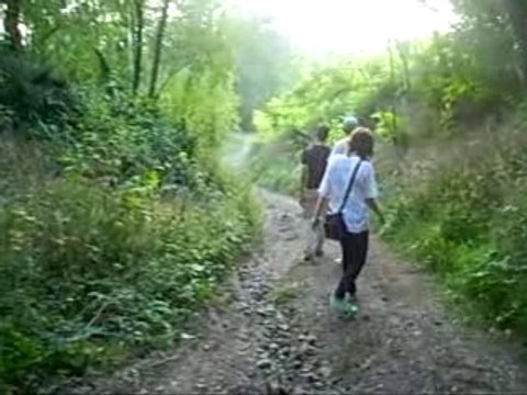 Les aubades dans la nature