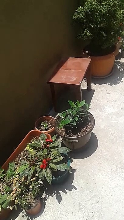 20180929_122057