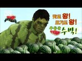 SNL KOREA 시즌5 - Ep.05 : 어벤져스3 유치총회