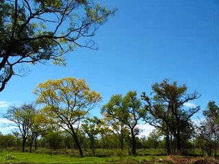 South Sudan is not a poor country, If these resources are utilized