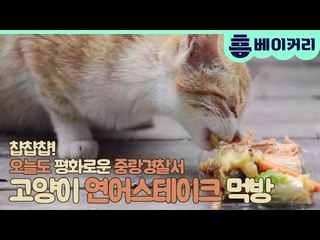 고양이 연어스테이크 먹방 - 집사인 게 자랑3 6회 비하인드