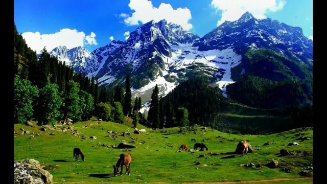 사다리사이트∑∑∑￥ ｎａｖｅ88。ｃｏｍ 카툭ːｃｏｍｅ99￥∑∑∑ 메이저놀이터