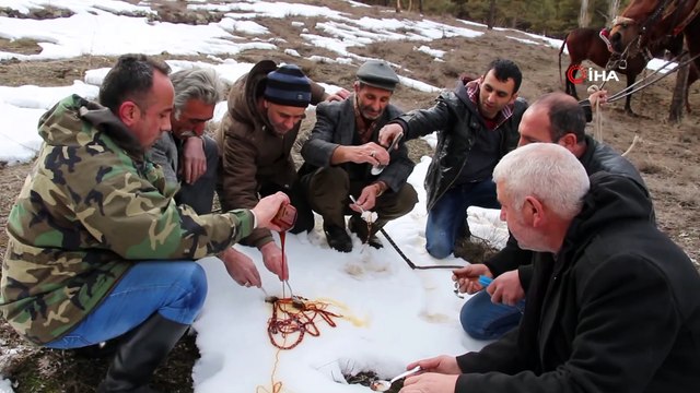Atlarla 'karlı pekmez' yemeye gittiler