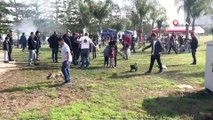 Köpek Irk Standartları Türkiye Şampiyonası