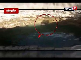 VIDEO: कुएं में गिरे लकड़बग्घे का रेस्क्यू, बाहर निकलते ही लगाई दौड़-Rescue of haina from Well in Mandsaur