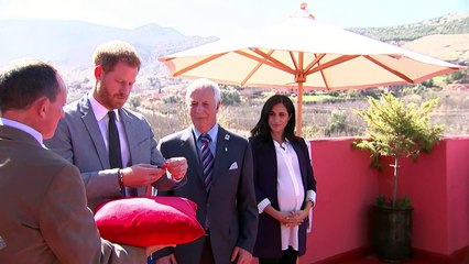 The Duke of Sussex presents MBE to British education pioneer