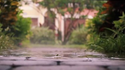 আকাশ থেকে পড়া কিছু উদ্ভট বস্তু যার ব্যাখ্যা বিজ্ঞানও দিতে পারে নি ...Interesting Things Fallen From Sky