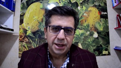 Kırkağaç ay çekirdeği artık Aksaray’da da ekilecek