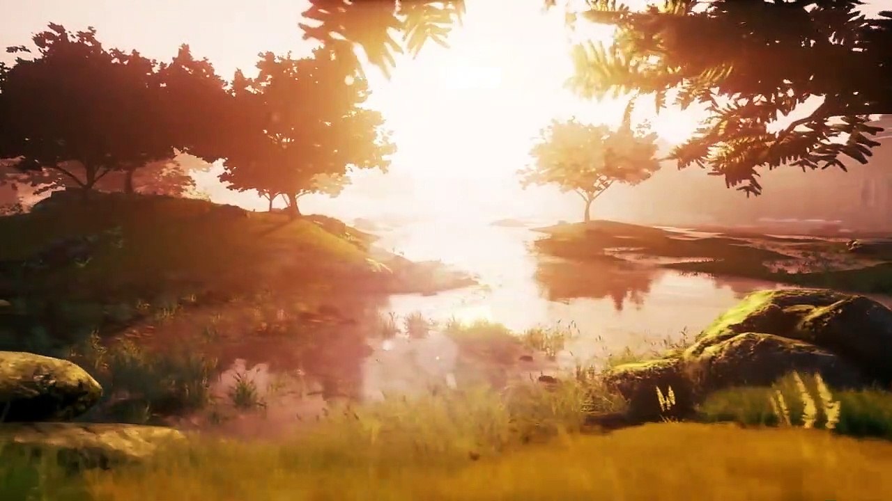Welcome to the Phoenix Nest!