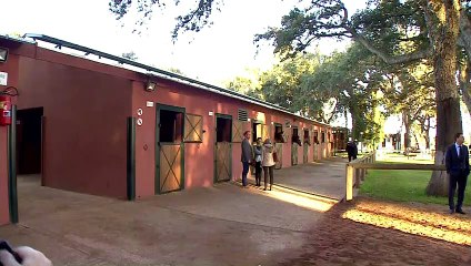 Duke and Duchess of Sussex visit equestrian club